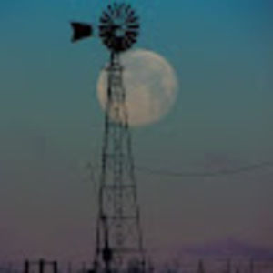 Meet your Posher, Terri